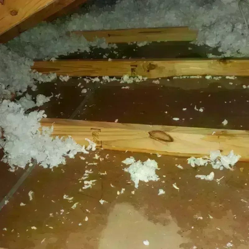 Attic Water Damage in Gray, LA